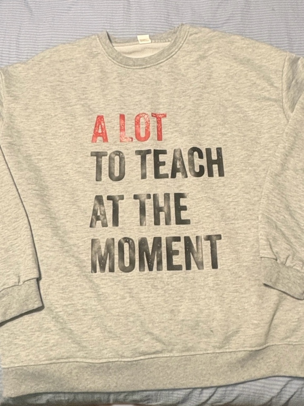 A Lot To Teach At The Moment Gray NWOT large see description